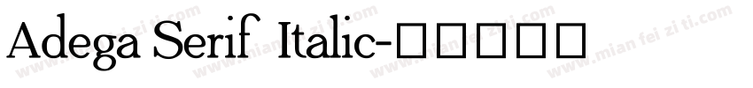 Adega Serif Italic字体转换